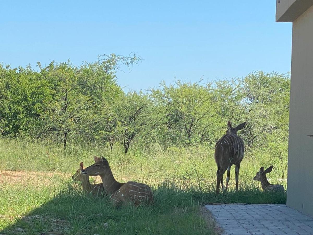 42@ Ditholo Game Lodge Thabazimbi Ngoại thất bức ảnh